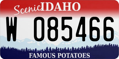 ID license plate W085466