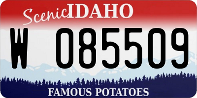 ID license plate W085509