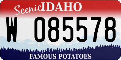 ID license plate W085578