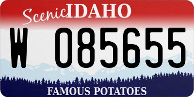 ID license plate W085655