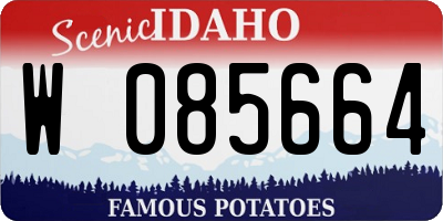 ID license plate W085664