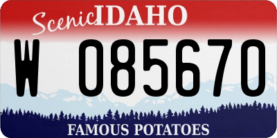 ID license plate W085670