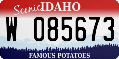 ID license plate W085673