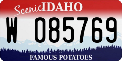 ID license plate W085769