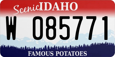 ID license plate W085771