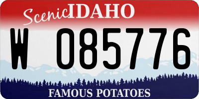 ID license plate W085776