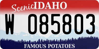 ID license plate W085803
