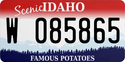 ID license plate W085865