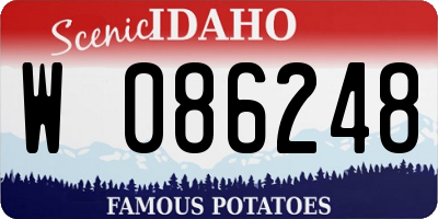 ID license plate W086248