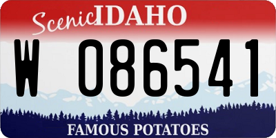 ID license plate W086541