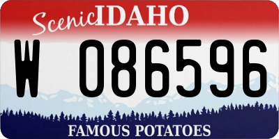 ID license plate W086596