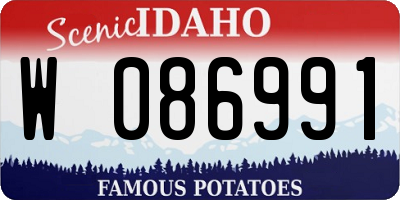 ID license plate W086991