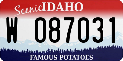 ID license plate W087031