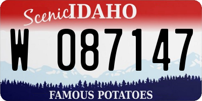 ID license plate W087147