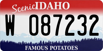 ID license plate W087232