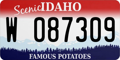 ID license plate W087309