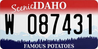 ID license plate W087431