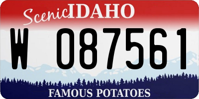 ID license plate W087561