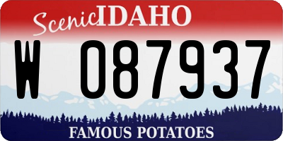 ID license plate W087937
