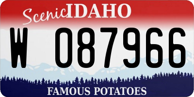 ID license plate W087966