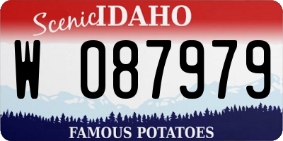 ID license plate W087979