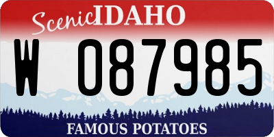 ID license plate W087985