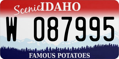 ID license plate W087995
