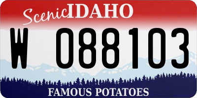 ID license plate W088103