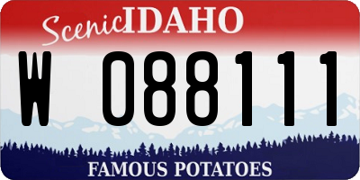 ID license plate W088111