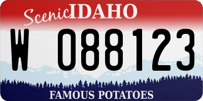 ID license plate W088123