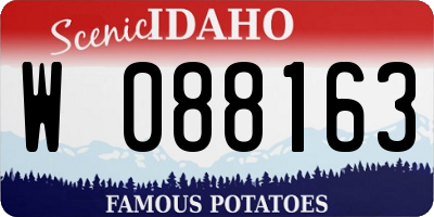 ID license plate W088163