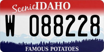 ID license plate W088228