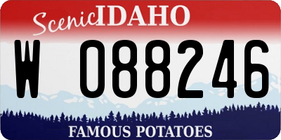 ID license plate W088246