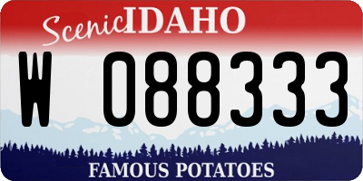ID license plate W088333