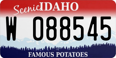 ID license plate W088545