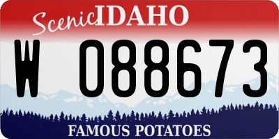 ID license plate W088673