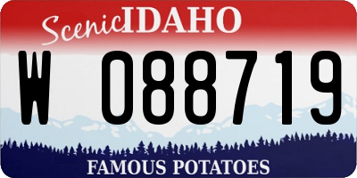 ID license plate W088719