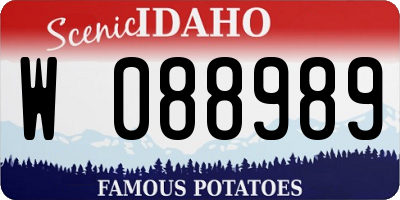 ID license plate W088989