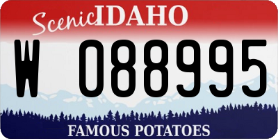 ID license plate W088995