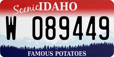 ID license plate W089449