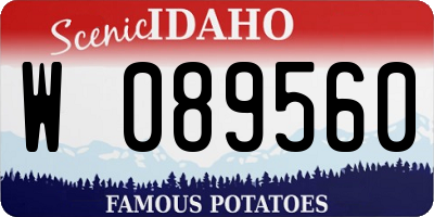 ID license plate W089560