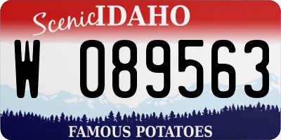 ID license plate W089563