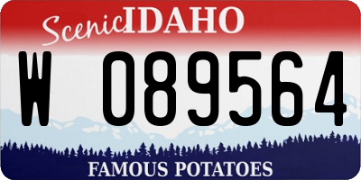 ID license plate W089564
