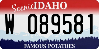 ID license plate W089581