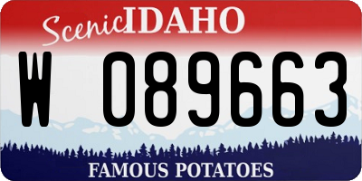 ID license plate W089663