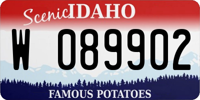ID license plate W089902