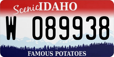 ID license plate W089938
