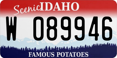 ID license plate W089946