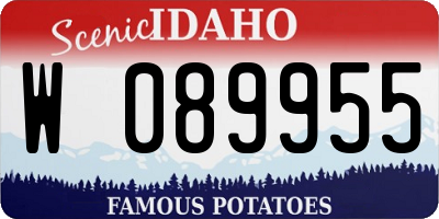 ID license plate W089955