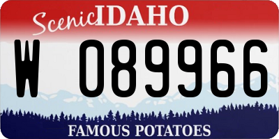 ID license plate W089966